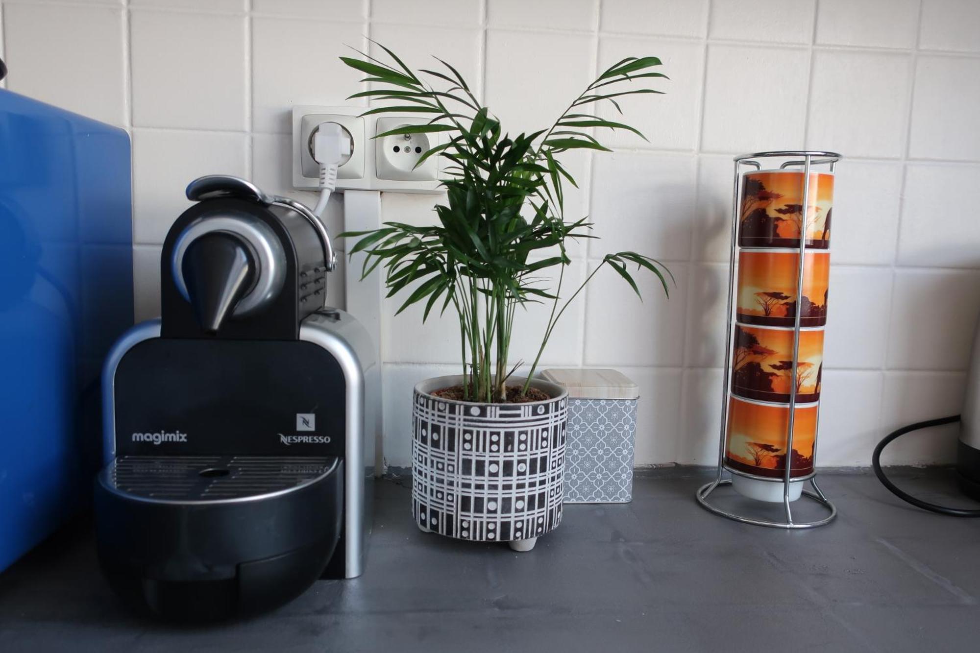 Appartement Avec Jardin Au Coeur De Rennes Exterior foto